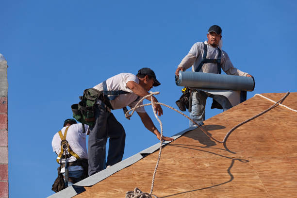 Roof Repair Estimates in Holly Springs, MS