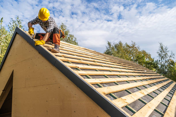 Best Metal Roofing Contractor  in Holly Springs, MS