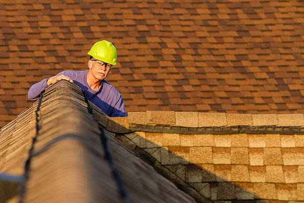 Best Commercial Roofing Services  in Holly Springs, MS