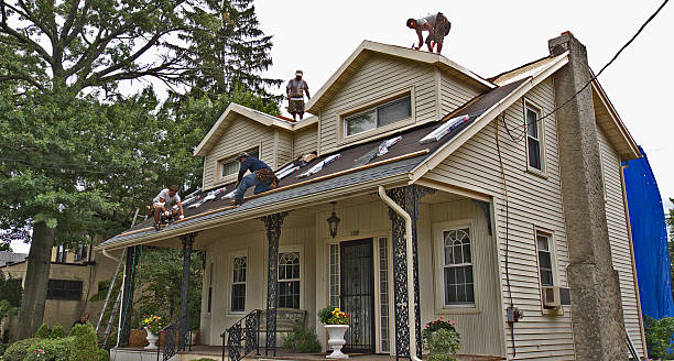 Best Shingle Roofing Installation  in Holly Springs, MS